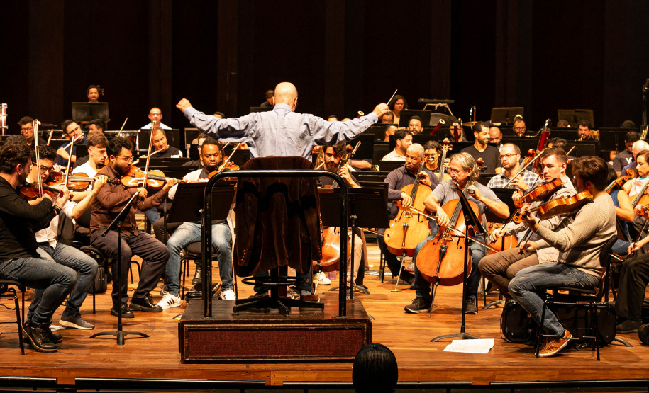 Entre famílias de instrumentos, movimentos e disposição: como funciona a Orquestra Sinfônica