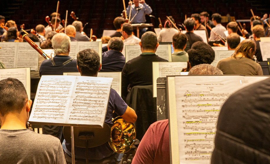 Entre famílias de instrumentos, movimentos e disposição: como funciona a Orquestra Sinfônica