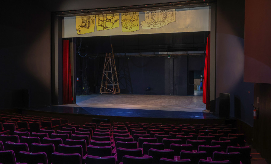 De elefanta a pilha de currículos para a escolha do 1º maestro: os causos da Orquestra Sinfônica