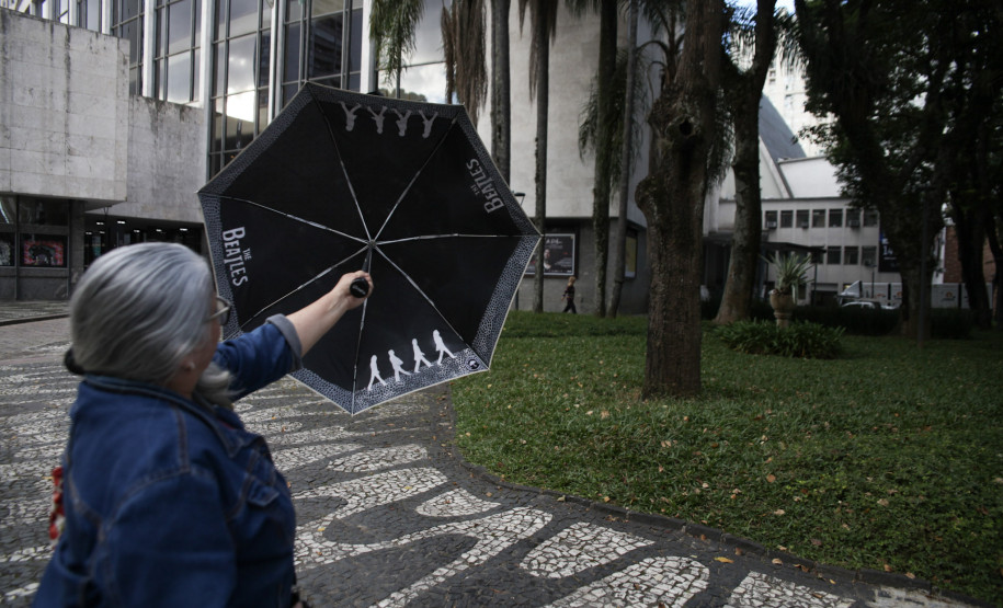 Doralice Araújo acompanha os concertos da Orquestra Sinfônica do Paraná há mais de 30 anos; na última década, passou a transformar essa paixão em arte.