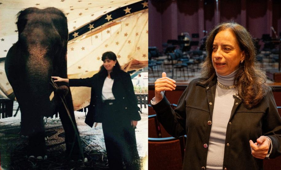 De elefanta a pilha de currículos para a escolha do 1º maestro: os causos da Orquestra Sinfônica