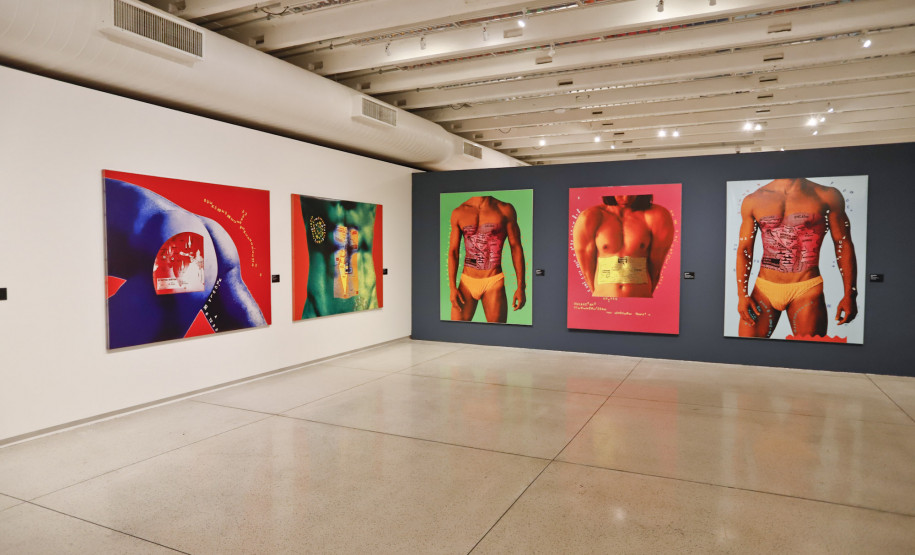 Exposição do artista Alex Flemming fica em cartaz até domingo no MON