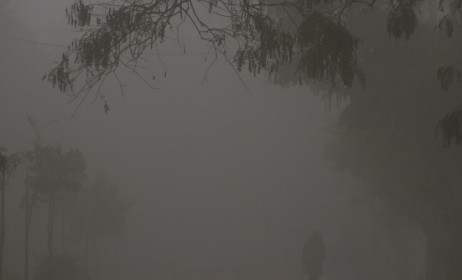 Feriado prolongado, Festival de Violoncelos e oficinas: confira a agenda cultural da semana