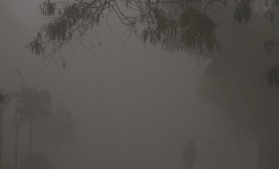 Oswaldo Montenegro, Gaúcho da Fronteira e "Eterno Feminino" no MON marcam agenda cultural