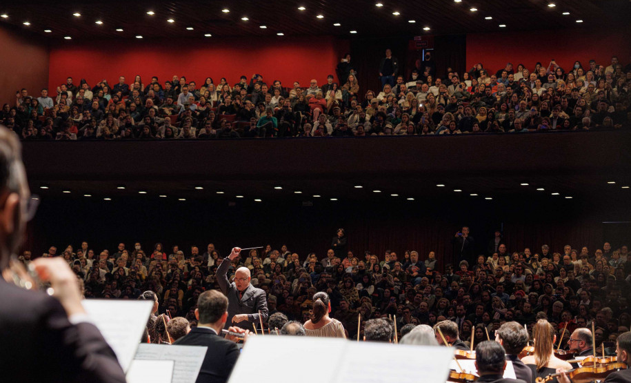 De Dalton Trevisan a Michael Jackson: agenda cultural da semana tem muitas atividades