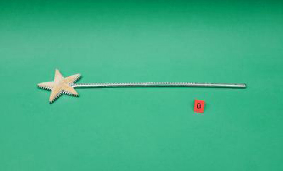 Oswaldo Montenegro, Gaúcho da Fronteira e "Eterno Feminino" no MON marcam agenda cultural