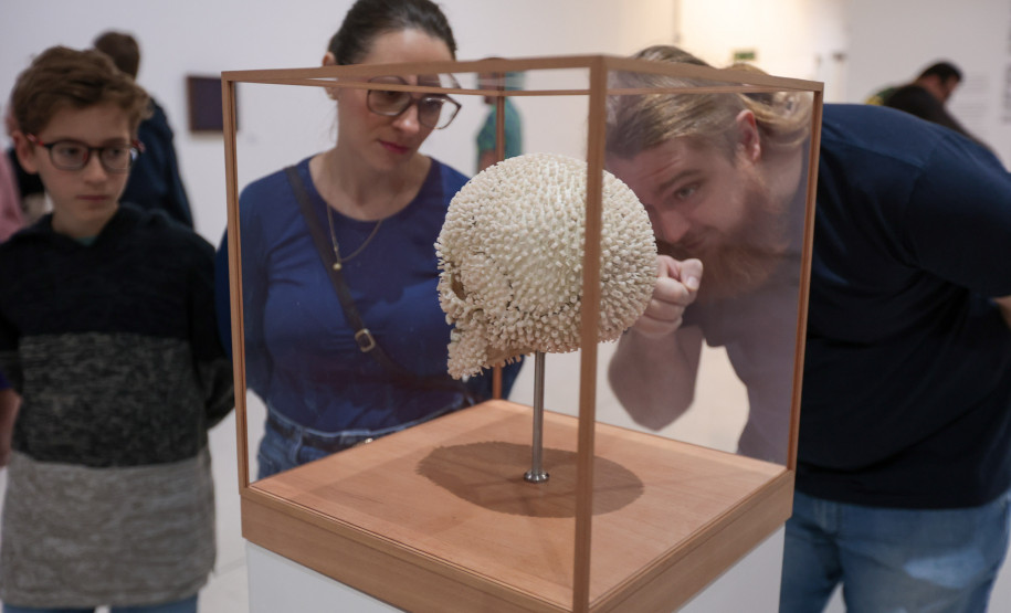 Visitação no Museu Oscar Niemeyer | MON nesta quarta-feira (23), em Curitiba