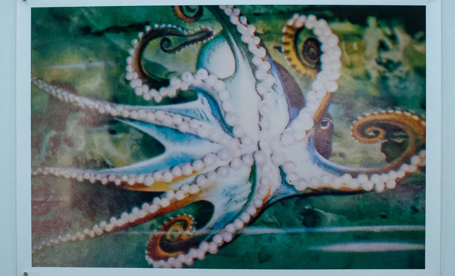 Strauss na OSP, férias nos museus e Dia Mundial do Rock movimentam a agenda cultural