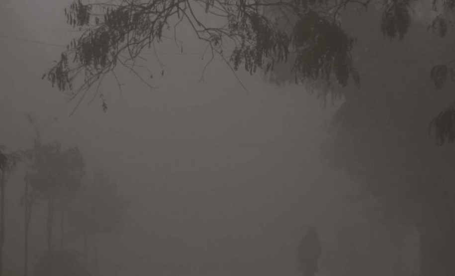 Strauss na OSP, férias nos museus e Dia Mundial do Rock movimentam a agenda cultural