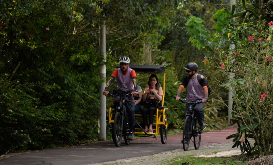 Entre letras e histórias: turismo literário do Paraná é cada vez mais reconhecido