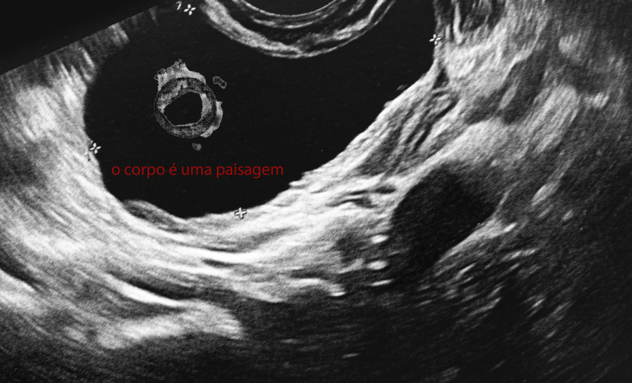 Exposição Ciclo(s) traz atividades artísticas gratuitas no MIS-PR em sua última semana de exibição