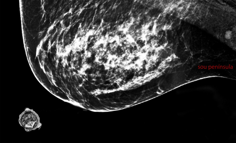 Exposição Ciclo(s) traz atividades artísticas gratuitas no MIS-PR em sua última semana de exibição