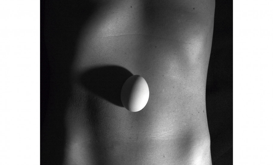 Exposição Ciclo(s) traz atividades artísticas gratuitas no MIS-PR em sua última semana de exibição