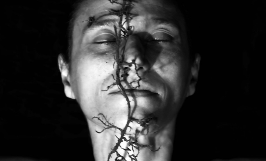 Museu da Imagem e do Som (MIS-PR) - Programação de encerramento | Ciclo(s) – A exposição "Ciclo(s) – Percepções da Alma em Movimento”, inclui duas atividades gratuitas para o público em sua última semana em cartaz.