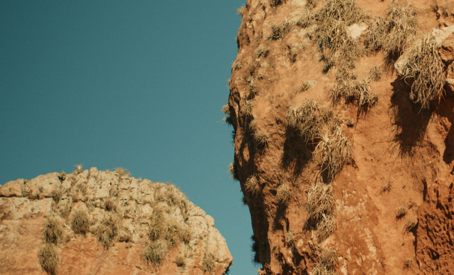 Entre arte e natureza: MUPA oferece diversas atividades na 19° Primavera dos Museus