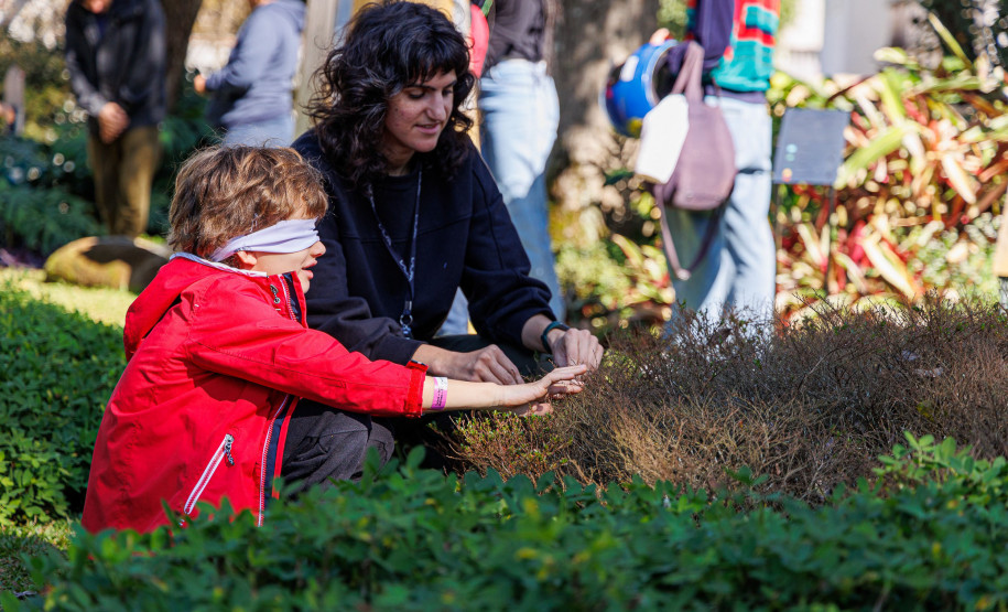 Entre arte e natureza: MUPA oferece diversas atividades na 19° Primavera dos Museus
