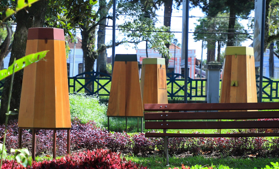 Entre arte e natureza: MUPA oferece diversas atividades na 19° Primavera dos Museus