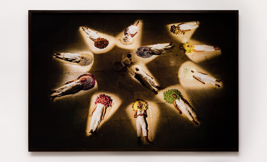 Temporada França-Brasil 2025 chega ao Museu Paranaense com programação gratuita