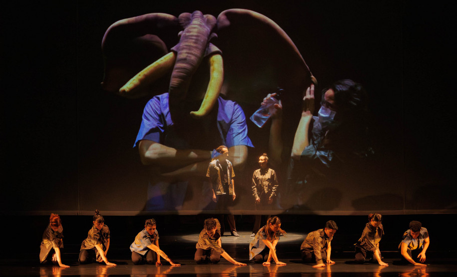 Balé Teatro Guaíra: duas noites de casa cheia marcam sucesso de V.I.C.A. e Stol no Guairinha
