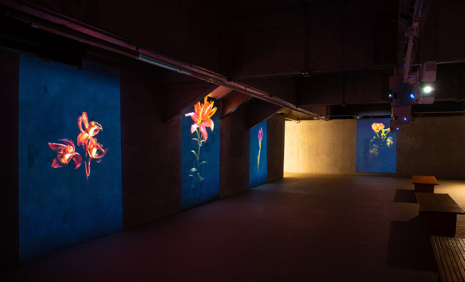 Arte para Maiores de novembro promove atividade online com a artista Mariana Palma