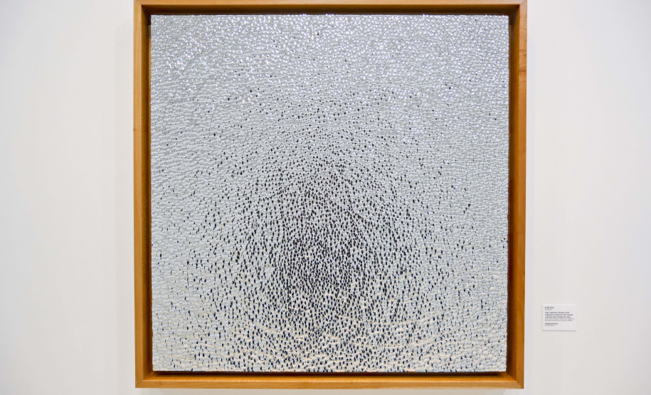 MON promove atividades com a presença do artista mexicano Gabriel de la Mora