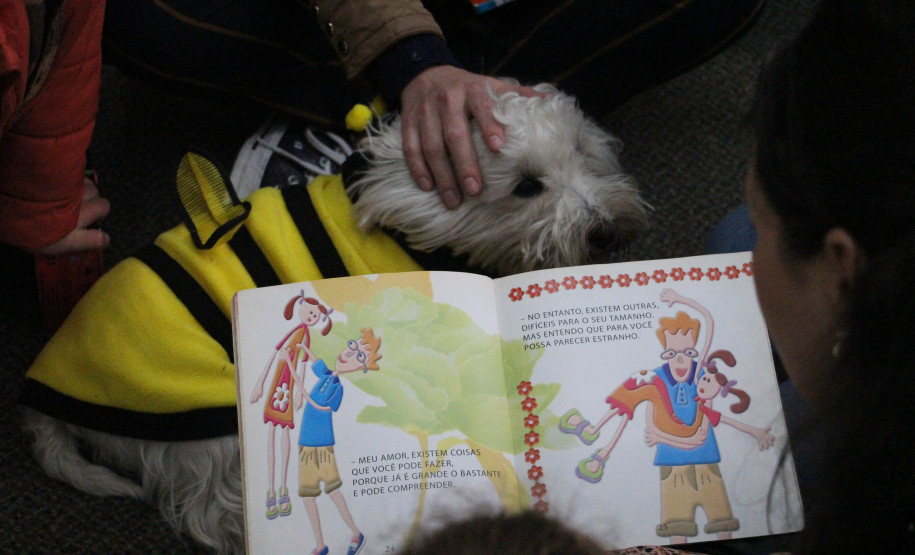 Biblioteca Pública do Paraná (BPP) - Brincando de Ler Atividades de estímulo à procura de diferentes livros e leitura no espaço, além troca de escolhas temáticas entre as crianças.