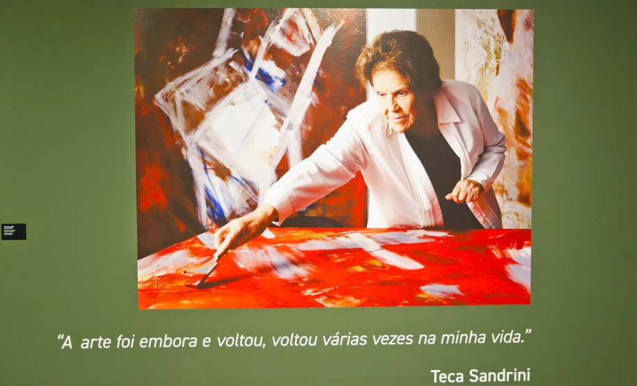 Exposição “Eterno Feminino”, da artista Teca Sandrini, entra na reta final no MON