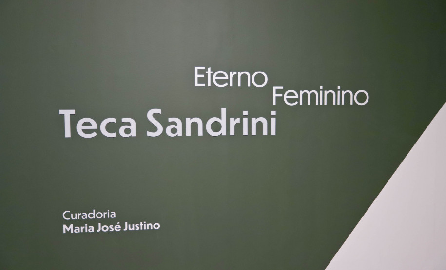 Exposição “Eterno Feminino”, da artista Teca Sandrini, entra na reta final no MON