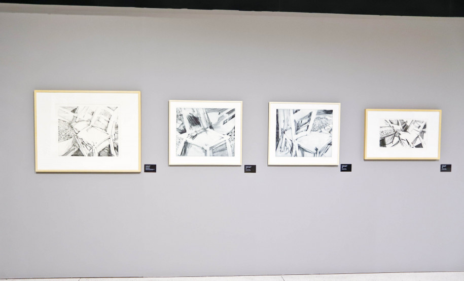 Exposição “Eterno Feminino”, da artista Teca Sandrini, entra na reta final no MON