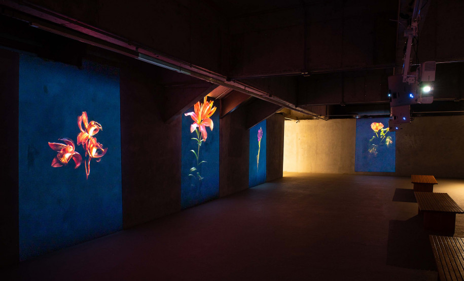 Com oficina de estêncil e interação com exposição, MON divulga agenda de dezembro