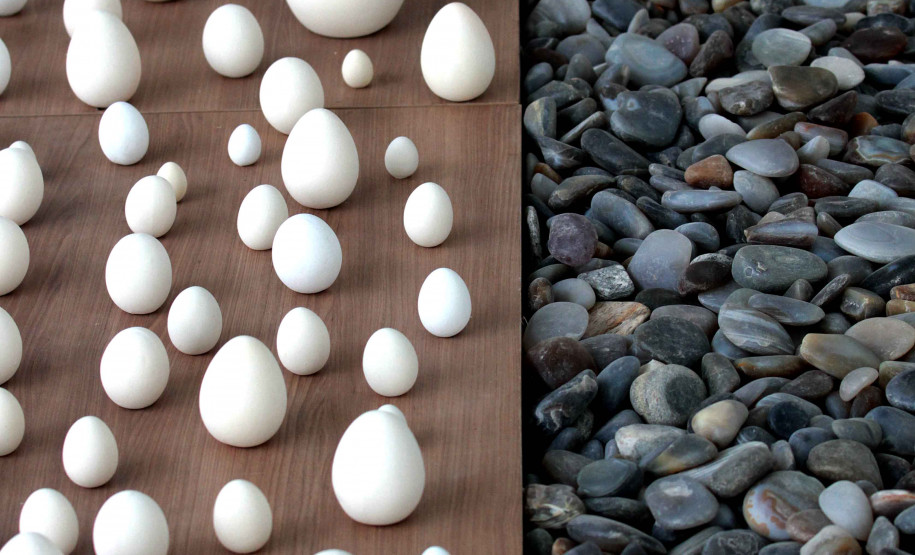 MAC Paraná encerra 2025 com retomada da sede histórica, expansão regional e programação comemorativa dos 55 anos