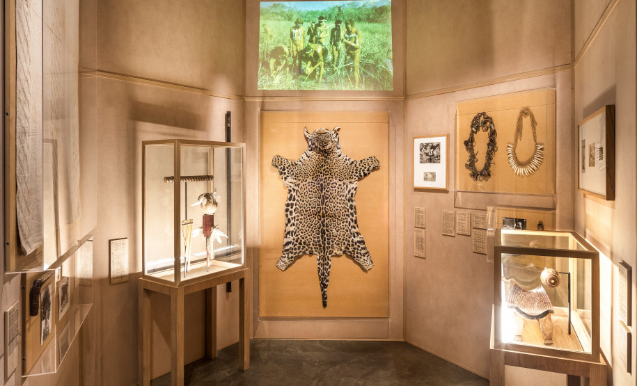 MUPA amplia atuação e fortalece pesquisa, educação e programação cultural em 2025