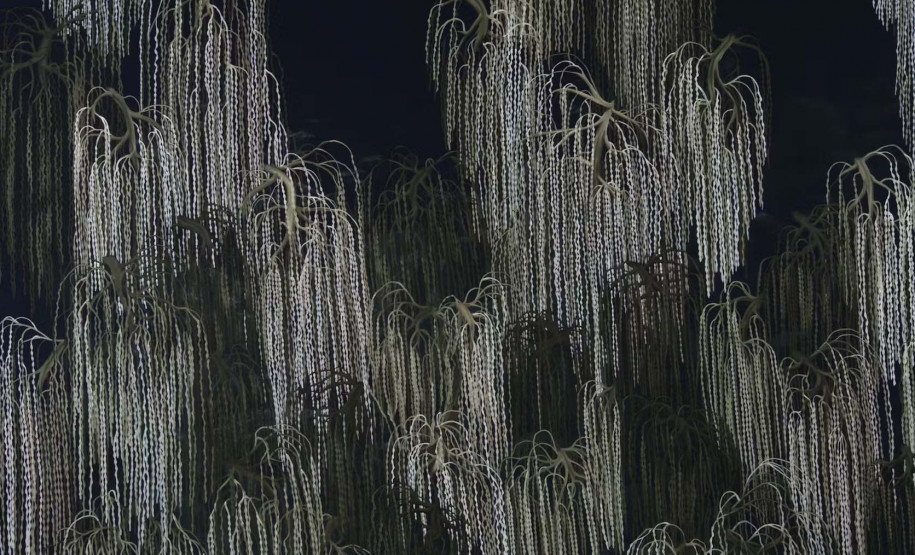 Três novidades no MON, Natal no Guaíra e estreia no MUPA estão na agenda cultural