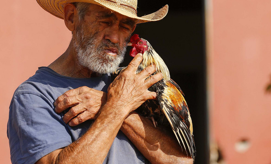 "Instante do Olhar": exposição reúne 50 fotos de Jonathan Campos no MON