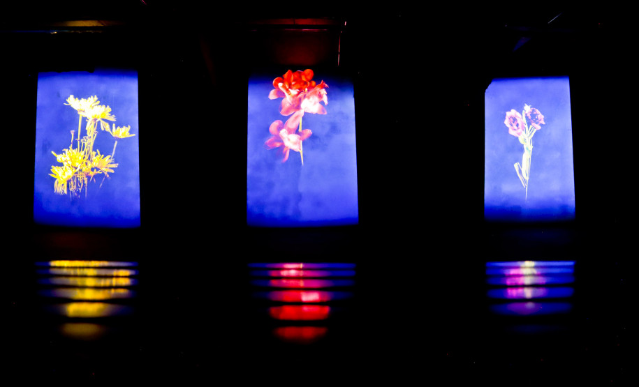 Ainda dá tempo: três exposições deixam catálogo do MON no domingo