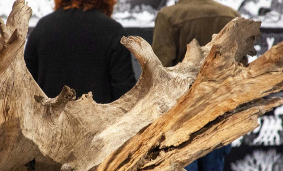 Novo miniauditório do MON é inaugurado com exposição de fotos de Dico Kremer