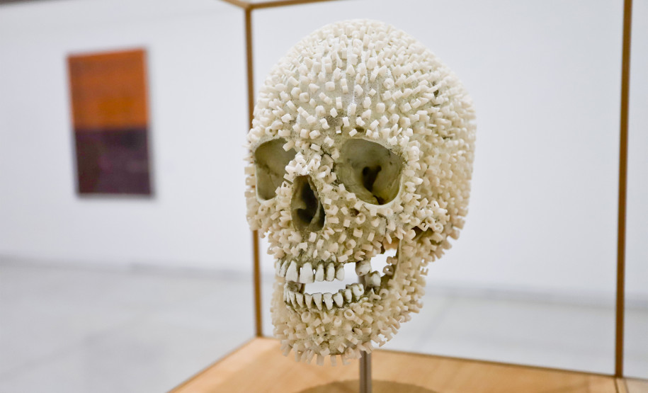 Ainda dá tempo: três exposições deixam catálogo do MON no domingo