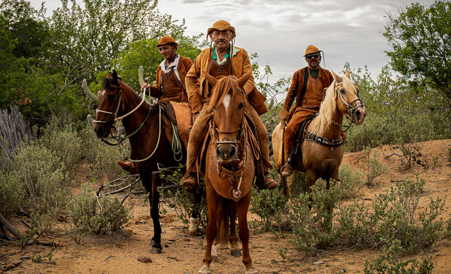 Mês das Mulheres: programação do MIS Paraná celebra protagonismo feminino
