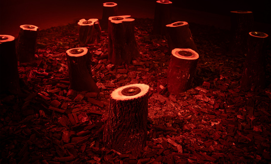 Fundação Bienal de São Paulo retorna ao Museu Oscar Niemeyer pela terceira vez com programa itinerante da 36ª Bienal de São Paulo