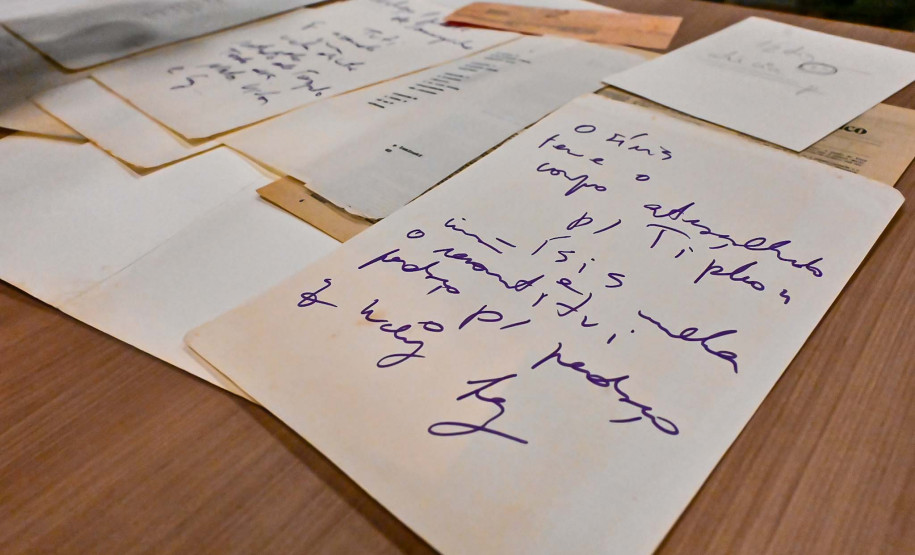 Família de Paulo Leminski recebe textos do autor que ficaram esquecidos em avião