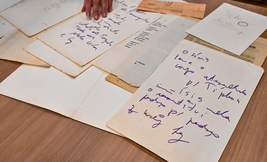 Família de Paulo Leminski recebe textos do autor que ficaram esquecidos em avião