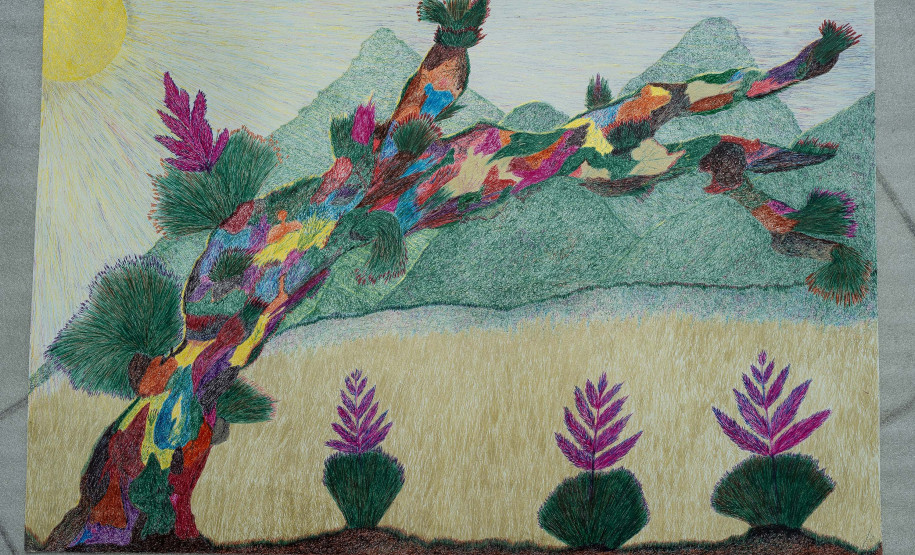 Museu Casa Alfredo Andersen assina curadoria de nova exposição de Marçal Marques