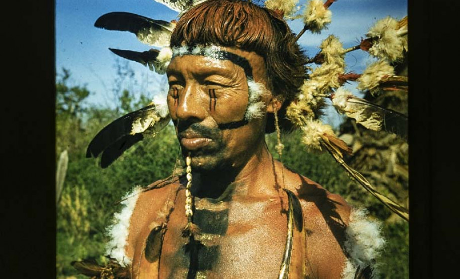 1.º museu satélite, Festival de Curitiba e shows na Ilha do Mel marcam agenda da semana