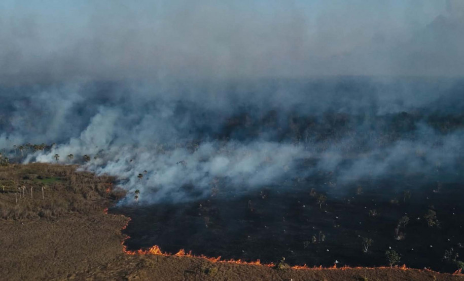 Museu Paranaense encerra Abril Indígena com performance e contação de história