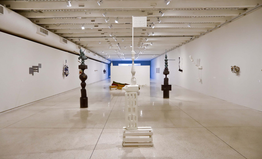 Exposição “Teia à Toa”, do artista Barrão, entra na reta final no MON