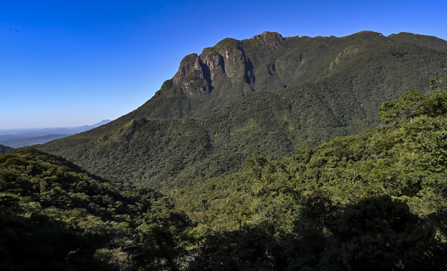Ação educativa celebra o patrimônio cultural e natural da Serra do Mar