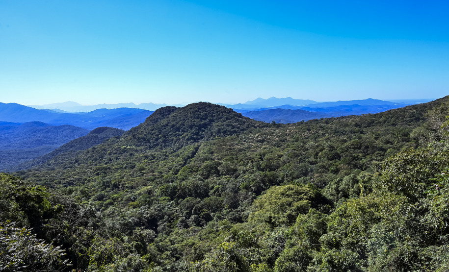 Ação educativa celebra o patrimônio cultural e natural da Serra do Mar