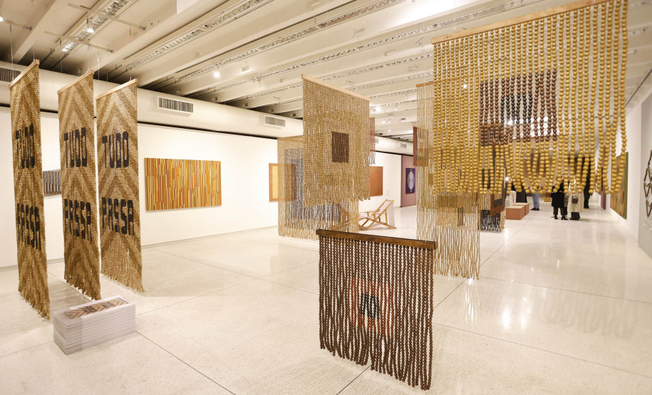 Últimos dias: exposição do artista Mano Penalva no MON encerra no domingo