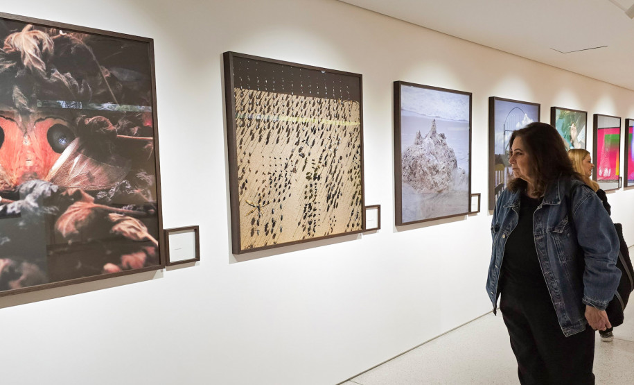 Cultura e inclusão: MON divulga a programação da 20ª Primavera dos Museus