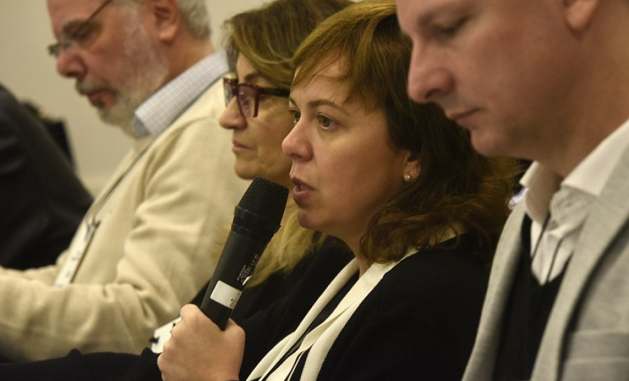 Superintendente de Cultura Luciana Casagrande.